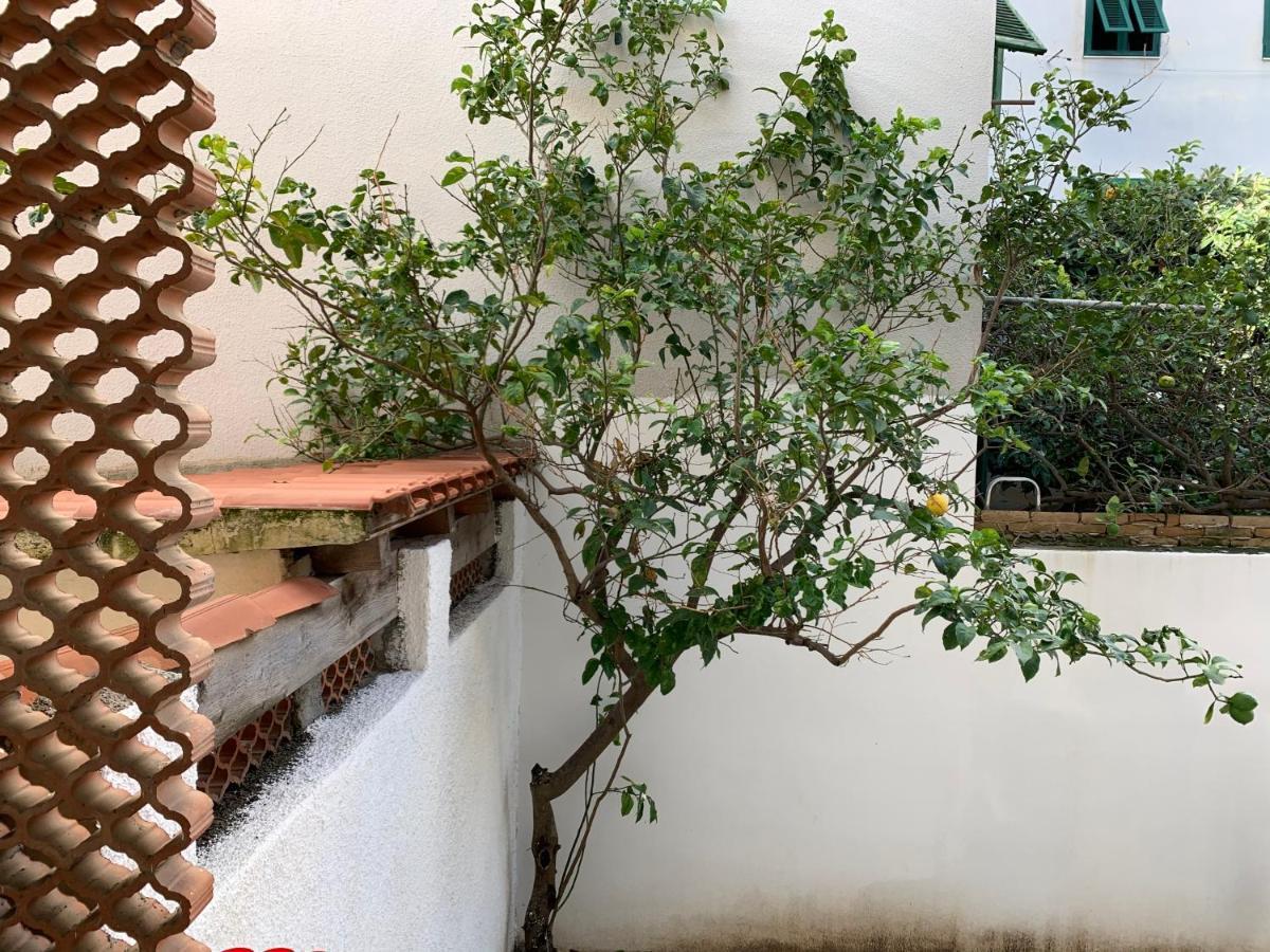 Pivarada 50 Appartement